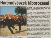 Újságcikkek